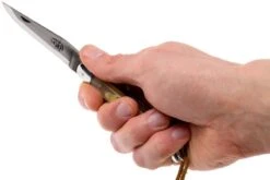 Forge De Laguiole 12110INCABDF, Corne D'Aubrac 13 Forge De Laguiole 12110INCABDF, Corne D'Aubrac -Couteaux de poche Magasin LA12110INCABDF 07 forge de laguiole la12110incabdf 07